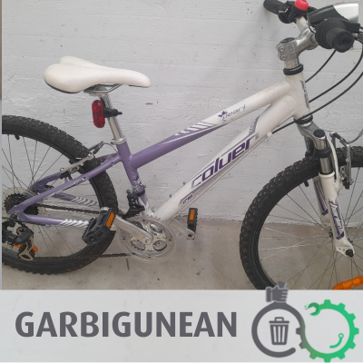 Bicicleta Morada
